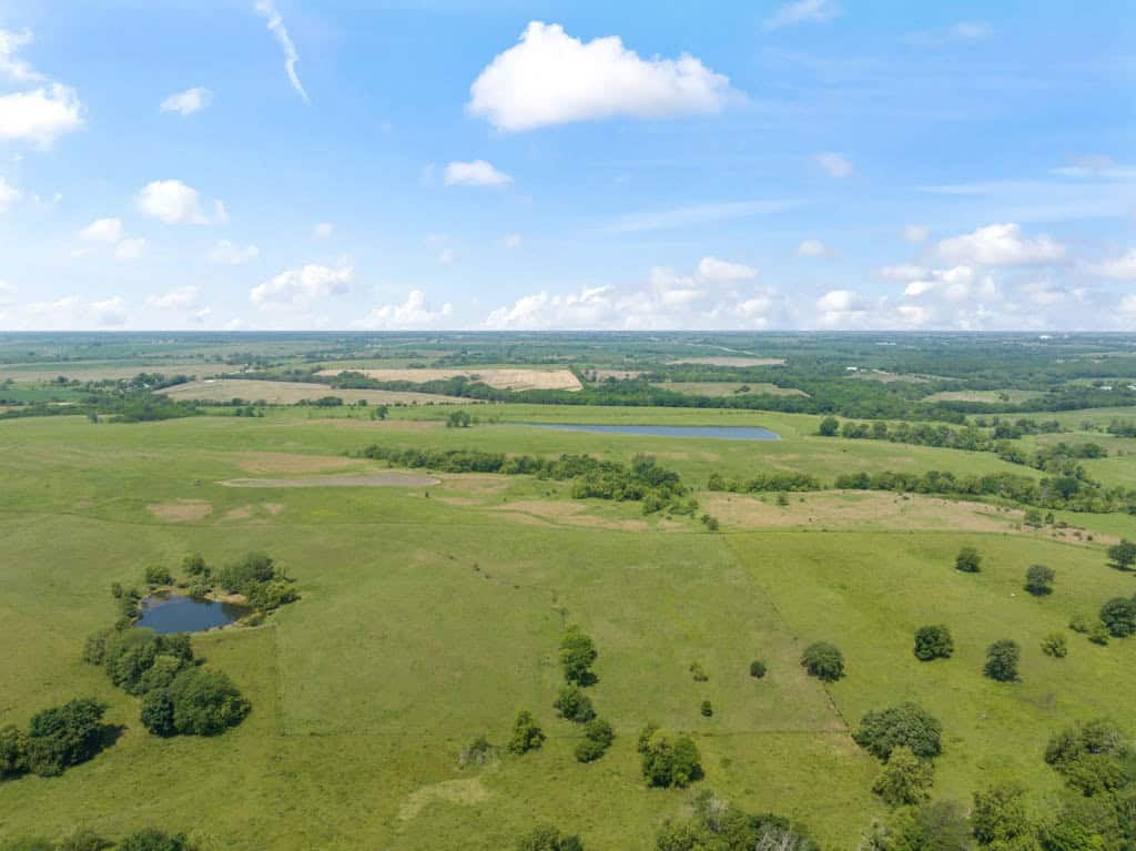 Wayne County, Iowa – High-Income CRP Farm with Big Deer History and 8-Acre Lake