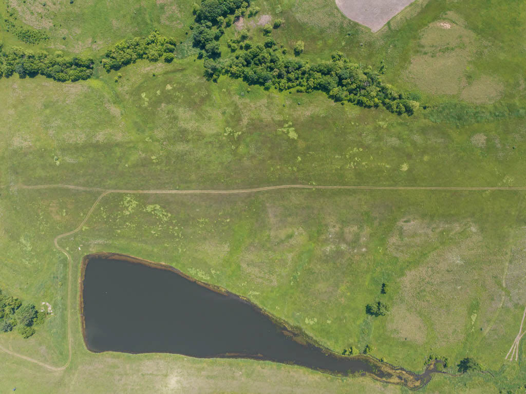 Wayne County, Iowa – High-Income CRP Farm with Big Deer History and 8-Acre Lake