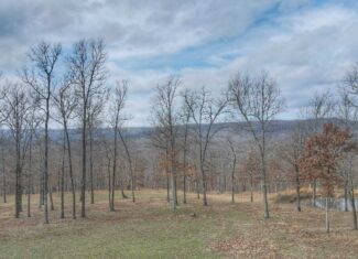 120+/- Acres Recreational Property For Sale in NWA