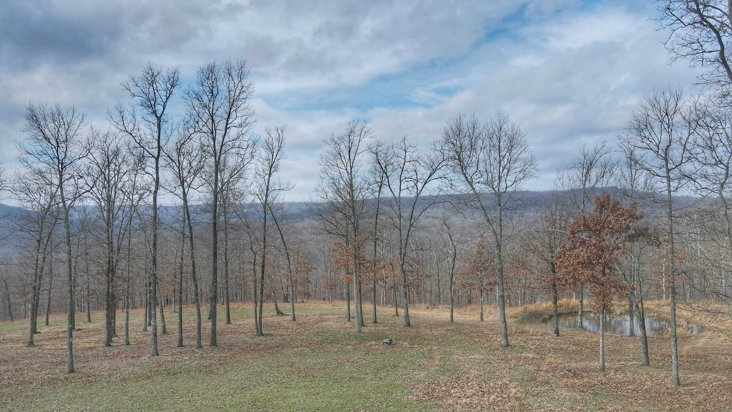 120+/- Acres Recreational Property For Sale in NWA
