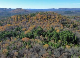 Hunting Land For Sale In North Central Arkansas