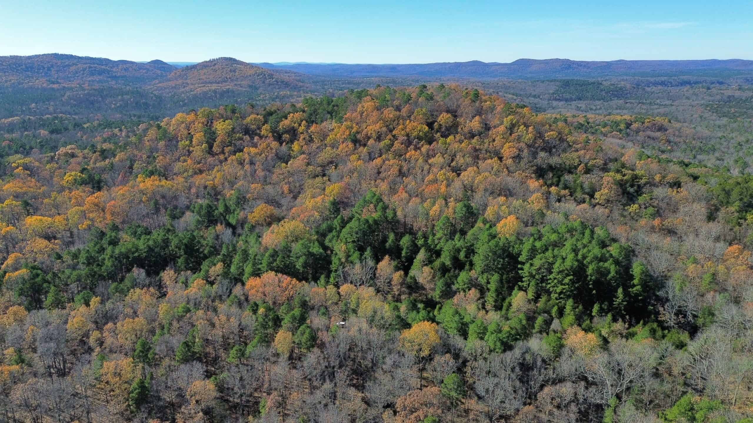 Hunting Land For Sale In North Central Arkansas