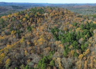 Hunting Land For Sale In North Central Arkansas