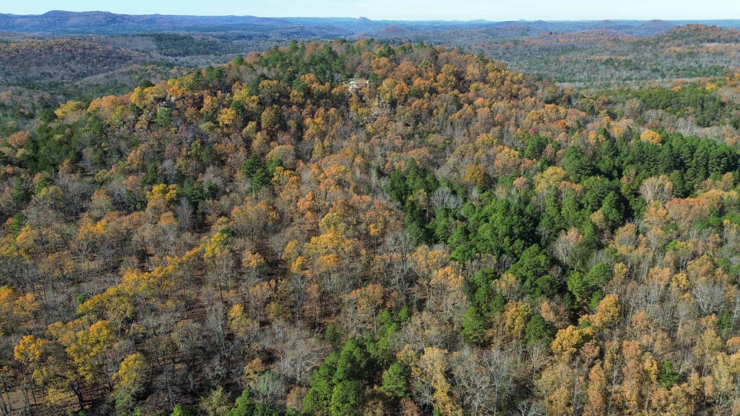Hunting Land For Sale In North Central Arkansas