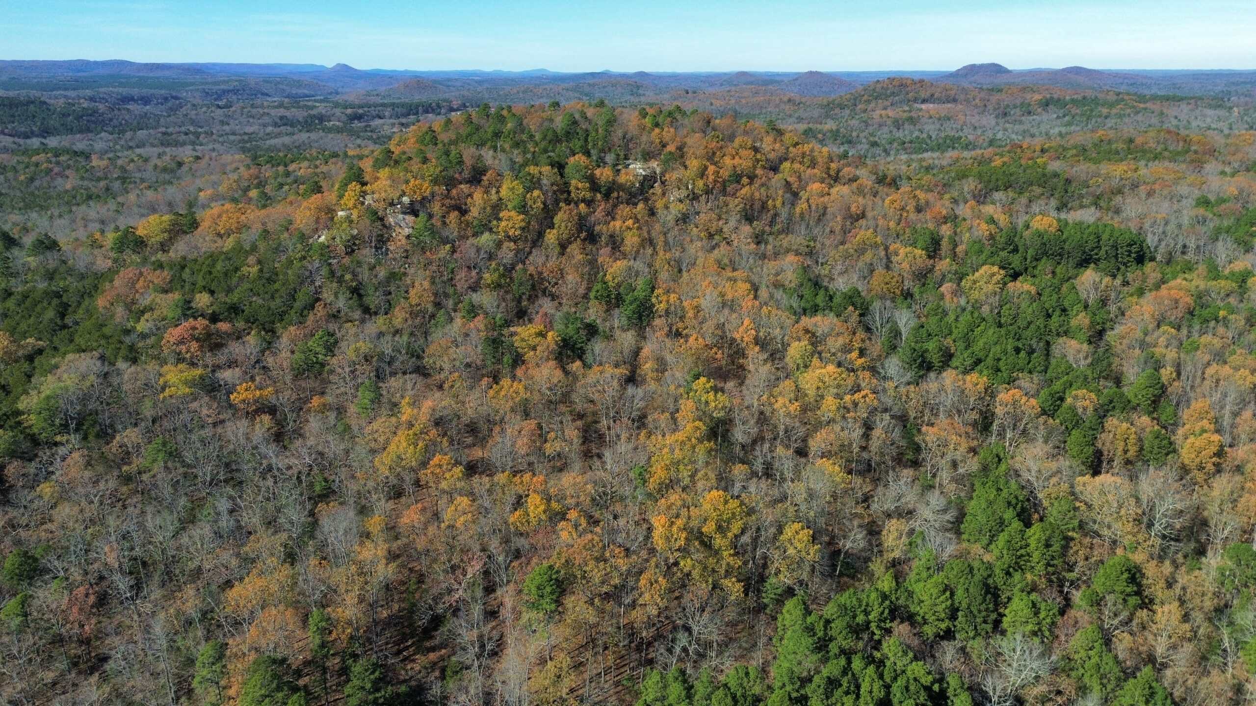Hunting Land For Sale In North Central Arkansas