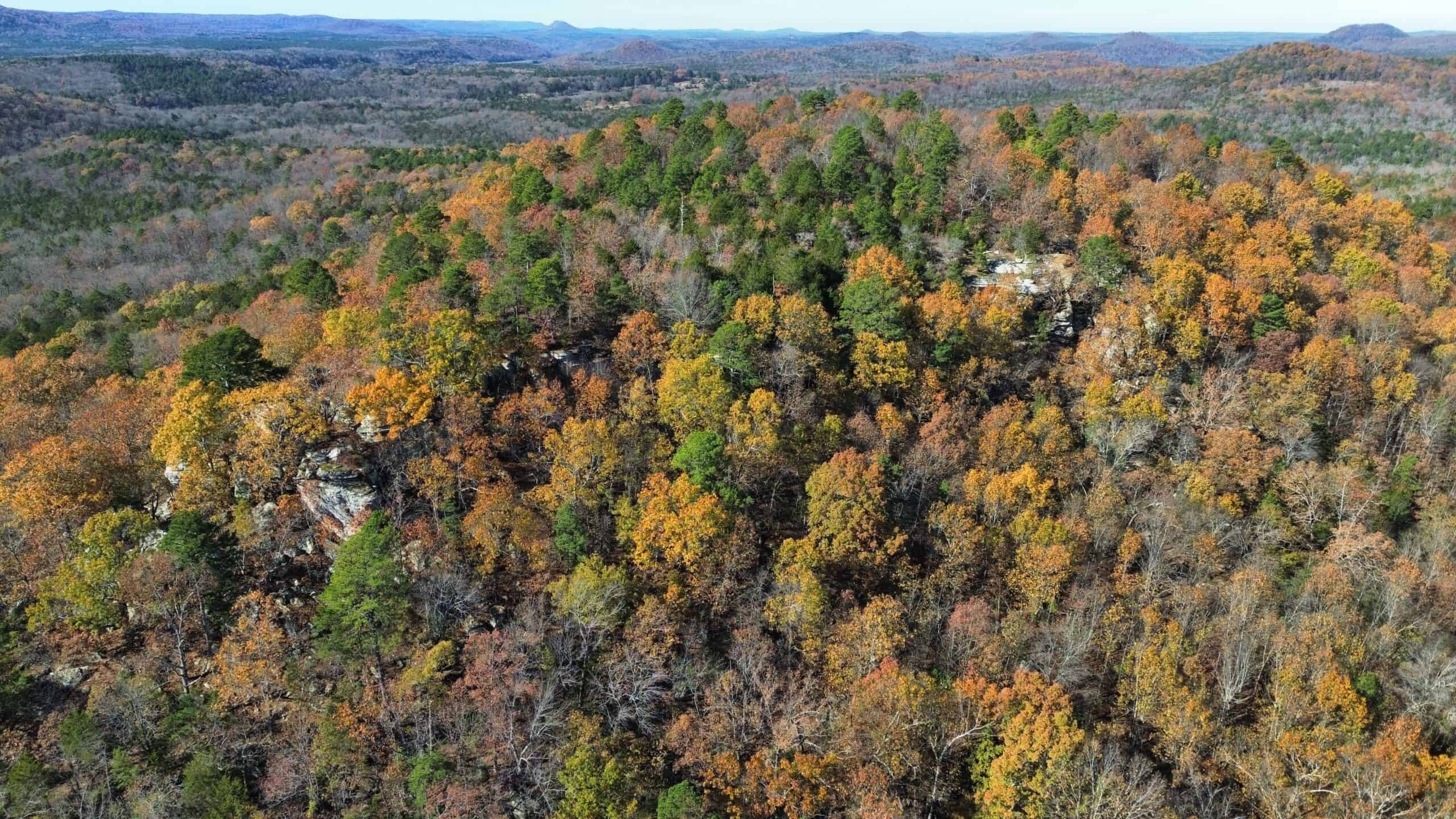 Hunting Land For Sale In North Central Arkansas