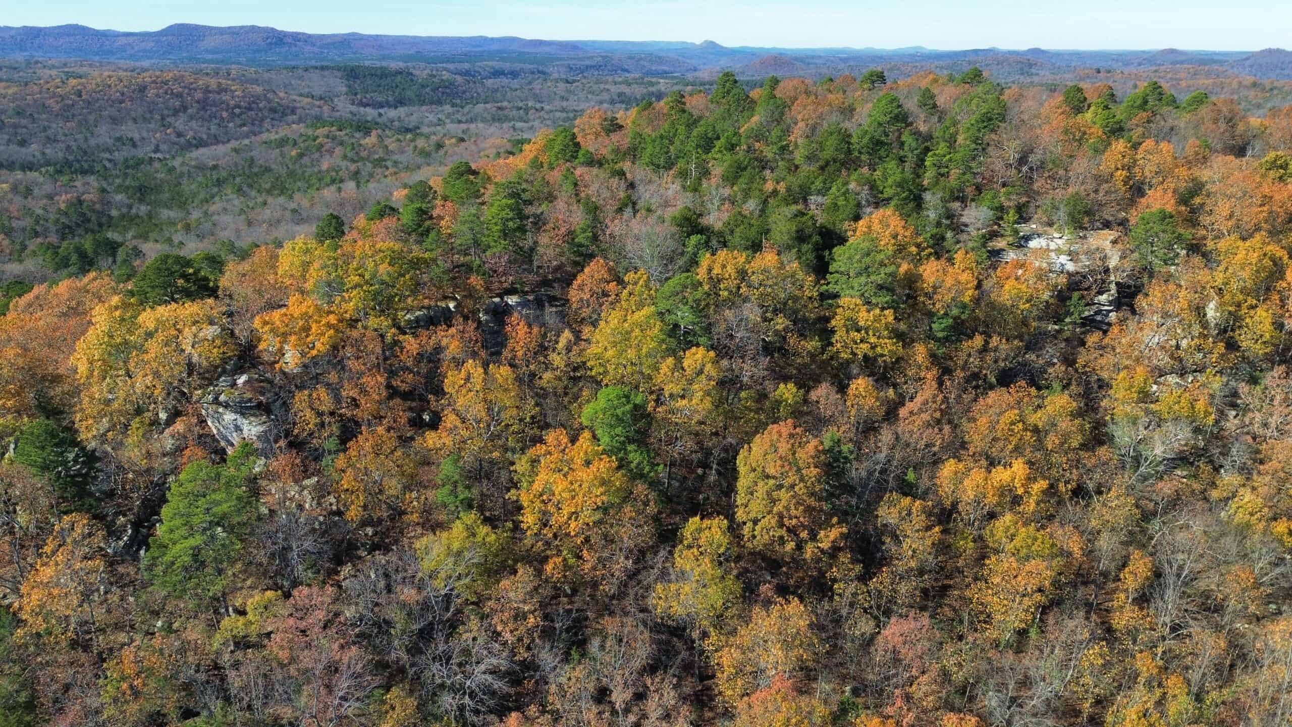 Hunting Land For Sale In North Central Arkansas