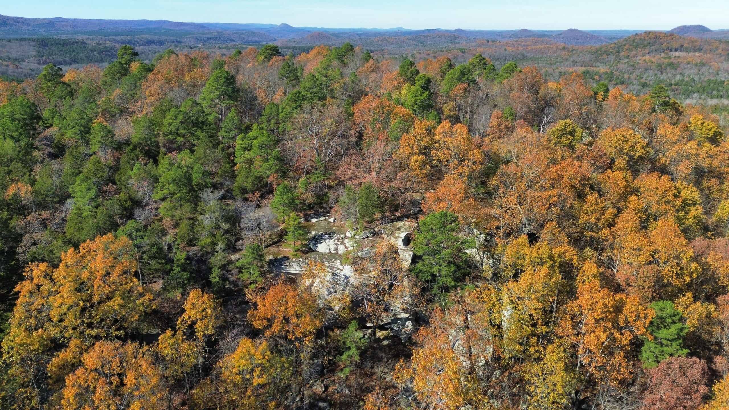 Hunting Land For Sale In North Central Arkansas