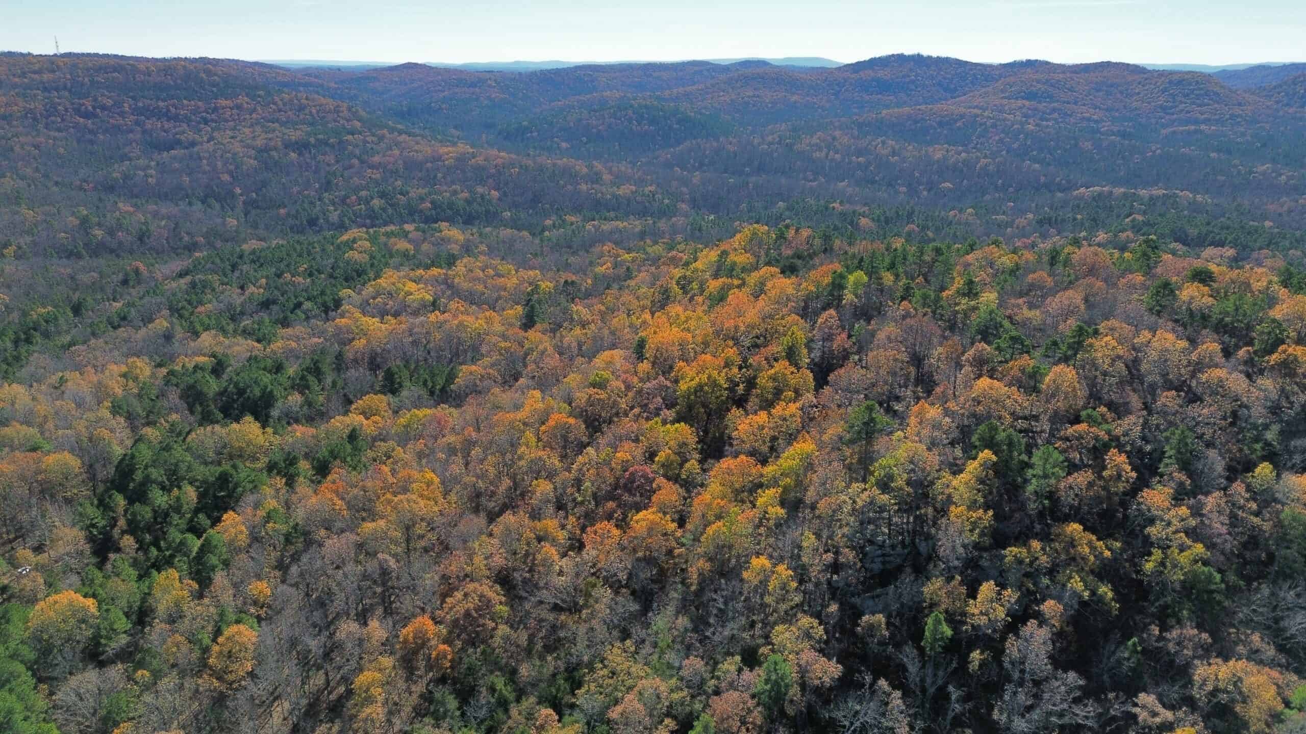 Hunting Land For Sale In North Central Arkansas