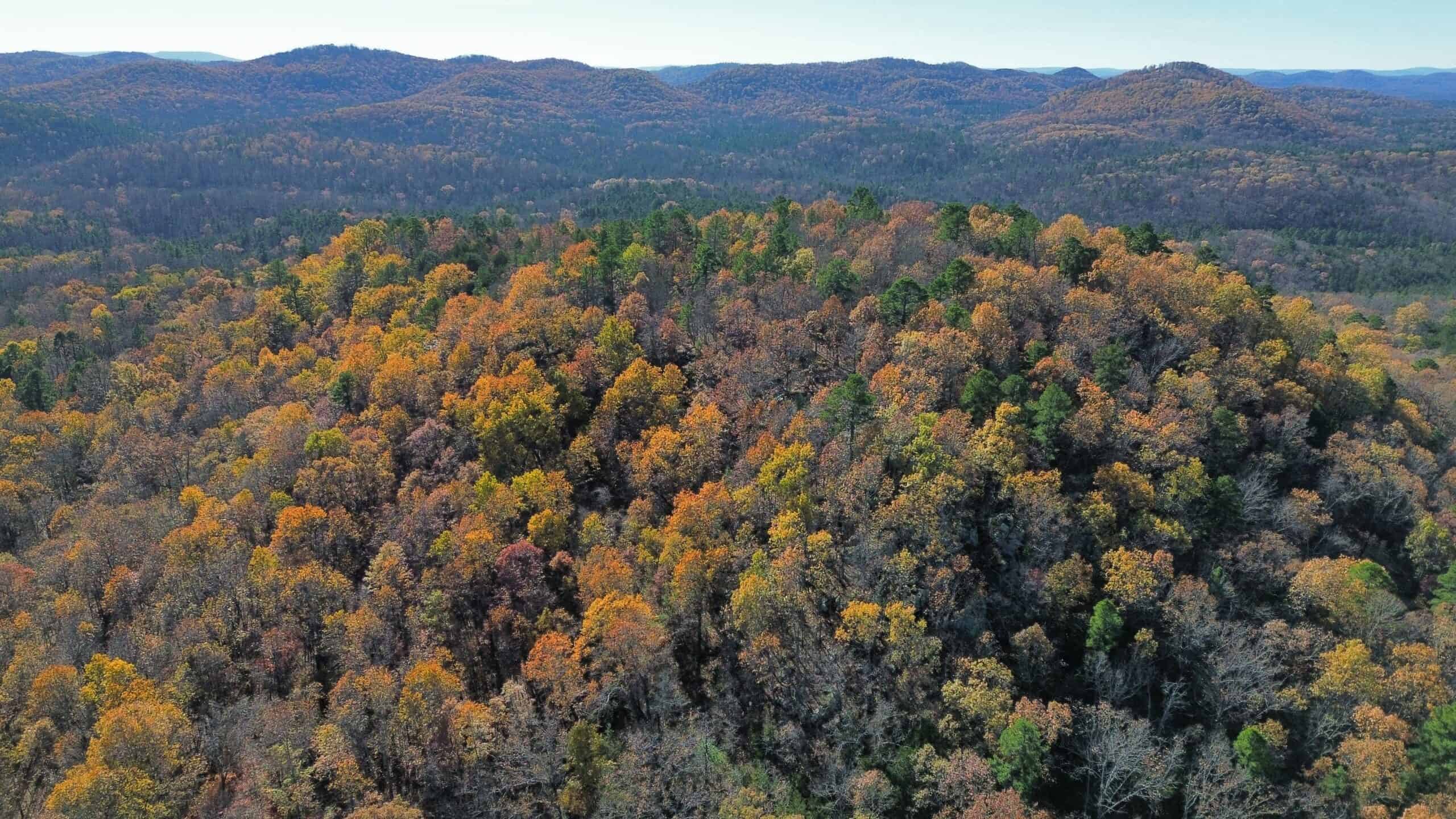 Hunting Land For Sale In North Central Arkansas