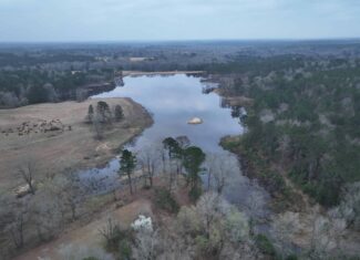 TexAz Ranch: 814-Acre Regenerative Legacy & Multi-Home Compound