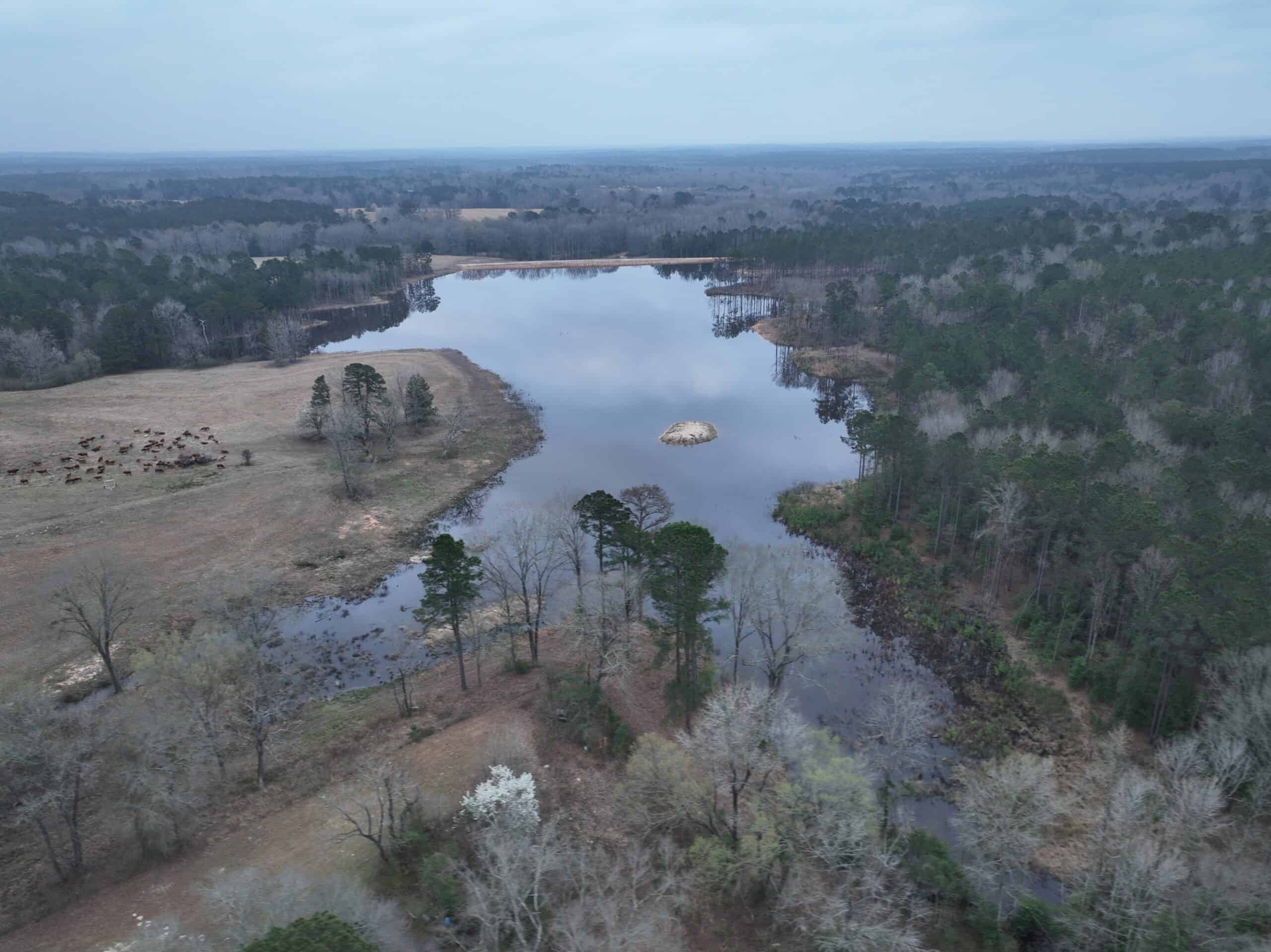 TexAz Ranch: 814-Acre Regenerative Legacy & Multi-Home Compound