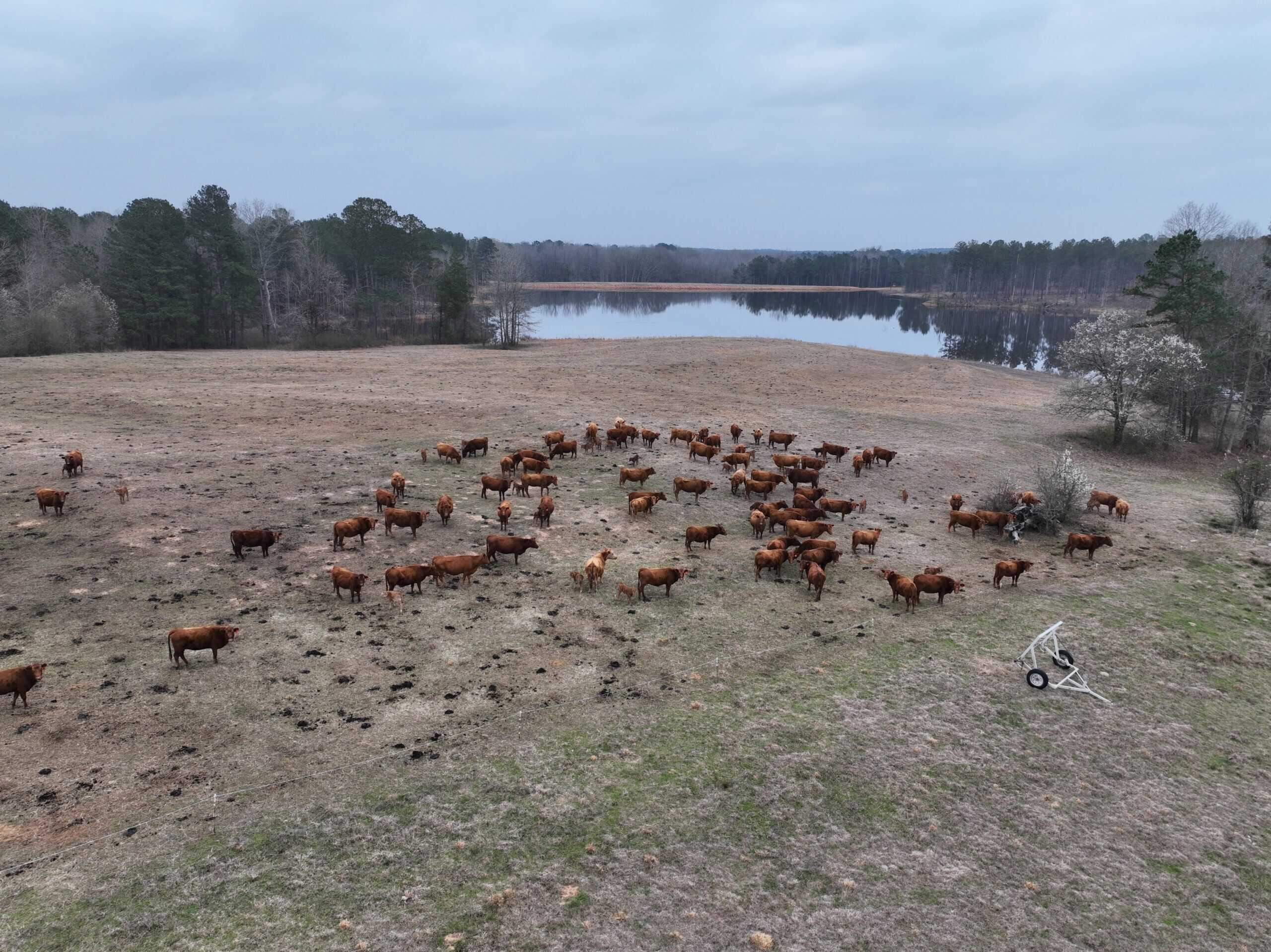 TexAz Ranch: 814-Acre Regenerative Legacy & Multi-Home Compound