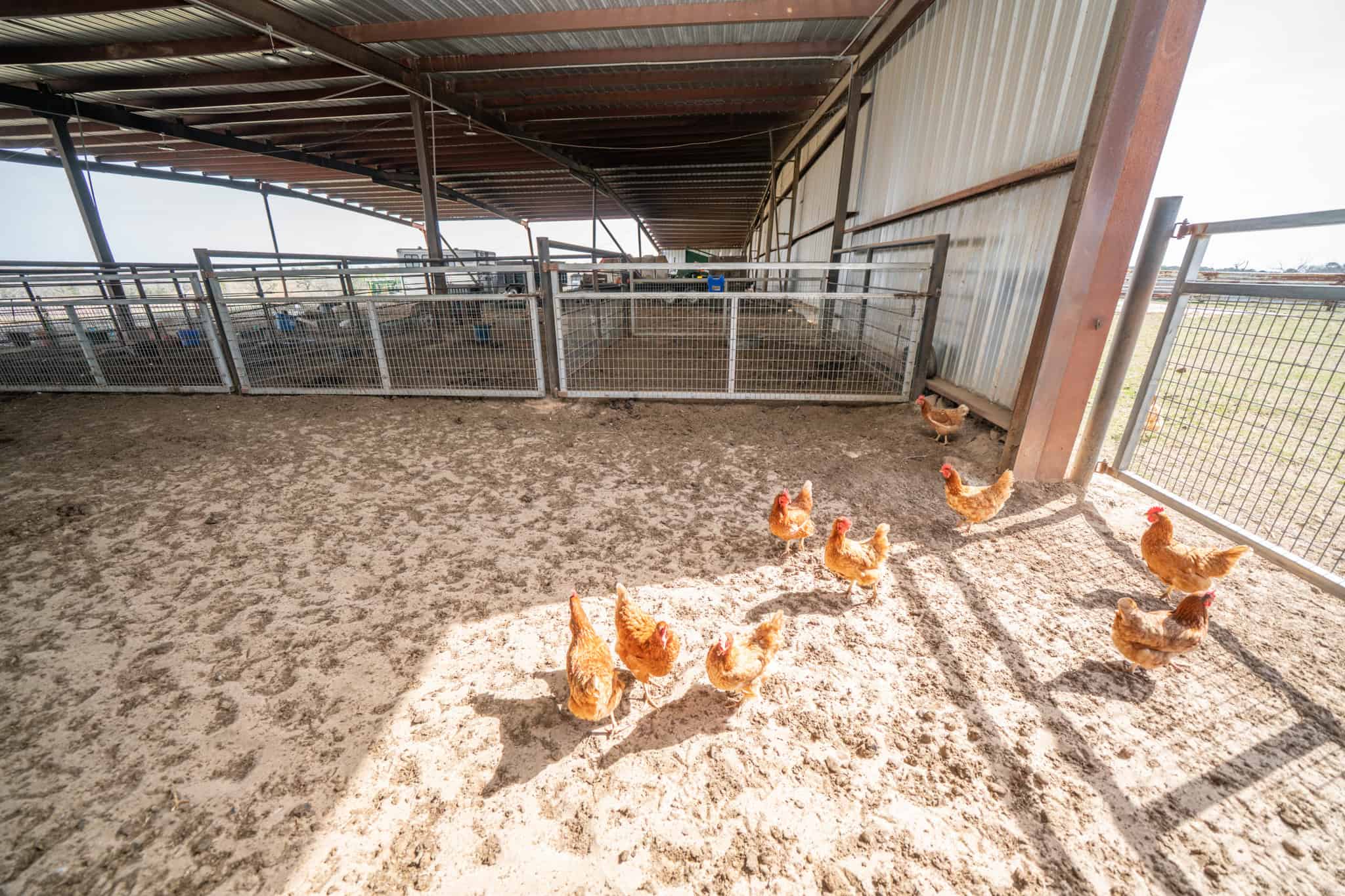 TexAz Ranch: 814-Acre Regenerative Legacy & Multi-Home Compound