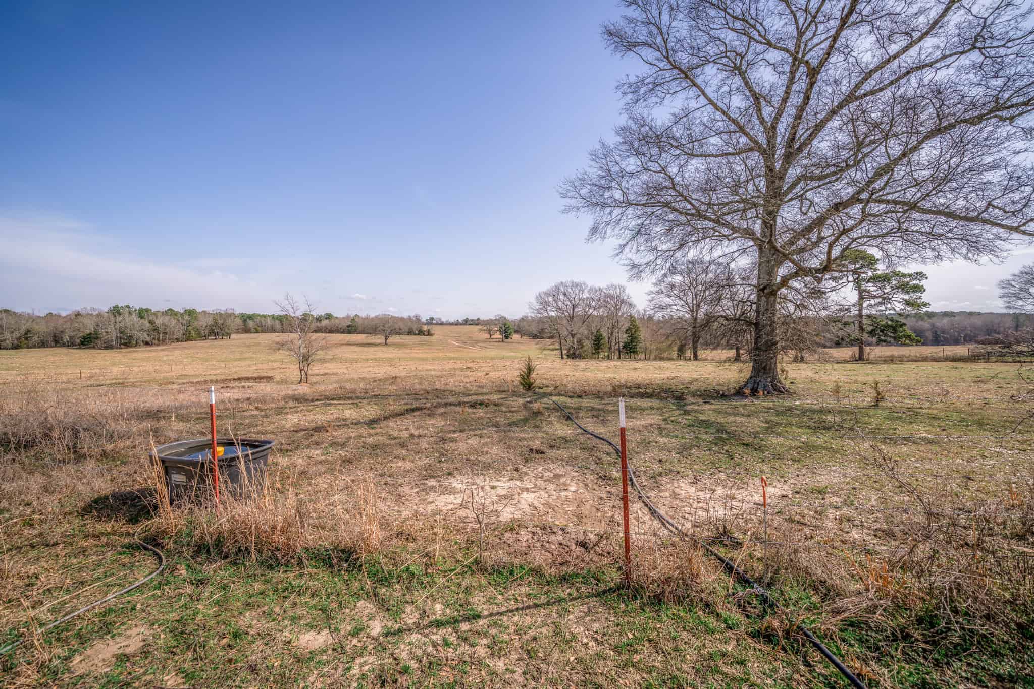 TexAz Ranch: 814-Acre Regenerative Legacy & Multi-Home Compound