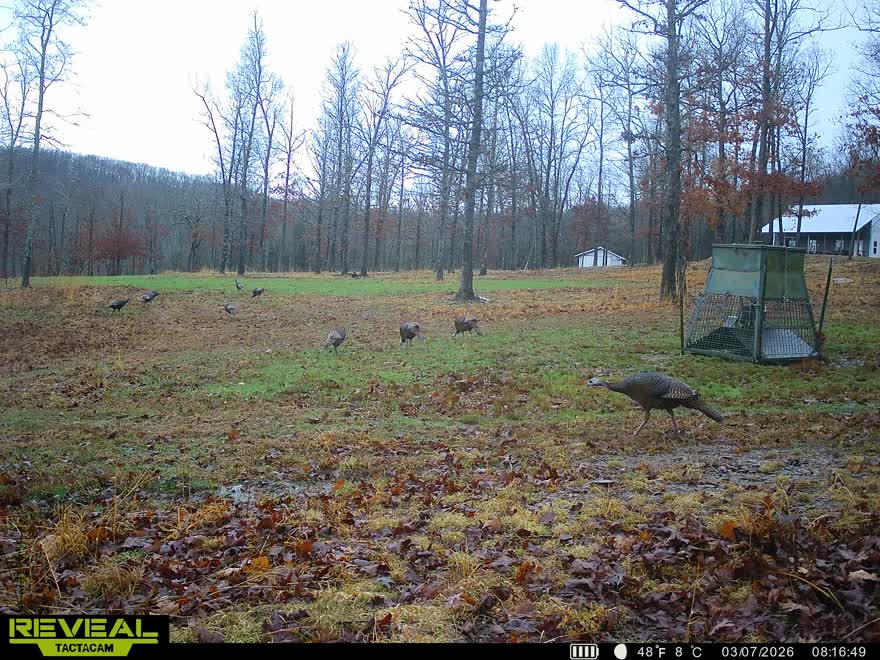 120+/- Acres Recreational Property For Sale in NWA