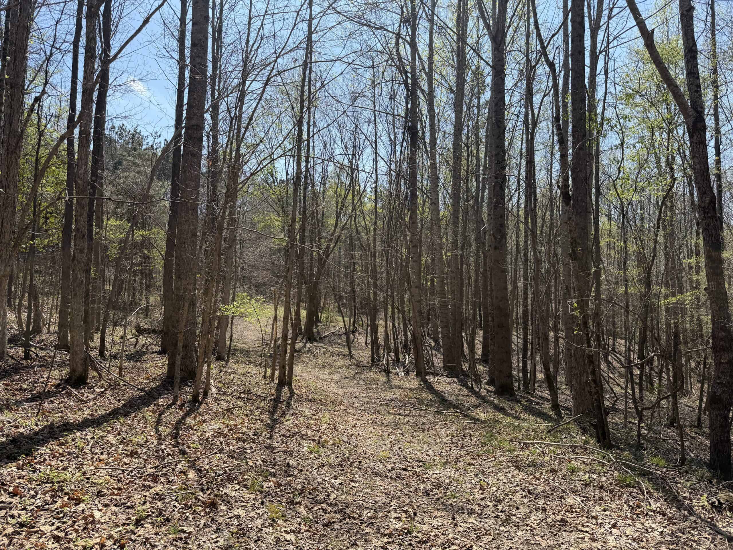 CABIN FOR SALE IN TN, HUNTING, STORAGE, SHELTER, WOODED