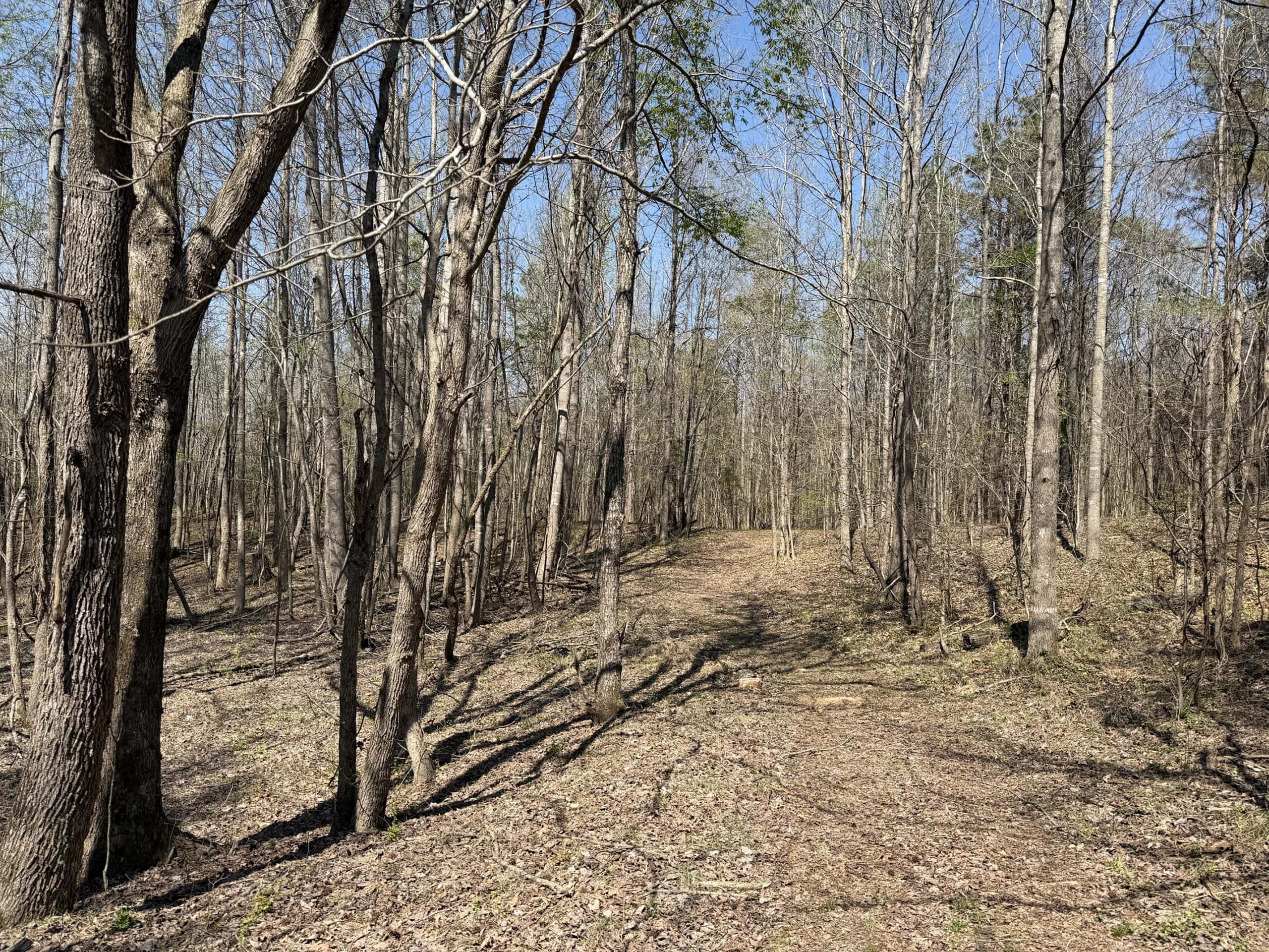 CABIN FOR SALE IN TN, HUNTING, STORAGE, SHELTER, WOODED