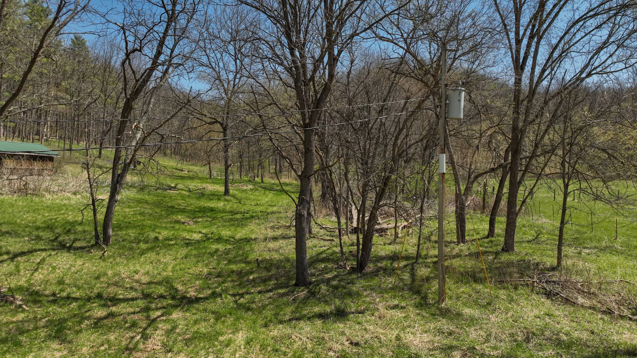 125 Acre Driftless Bluff Sanctuary | Private Valley, Spring-Fed Pond & Trophy Whitetail Haven Near Boaz