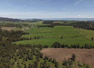 Land for Sale in Idaho County, ID at Hatke Place Ranch