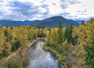 Riverfront Acreage For Sale in St. Regis, Montana
