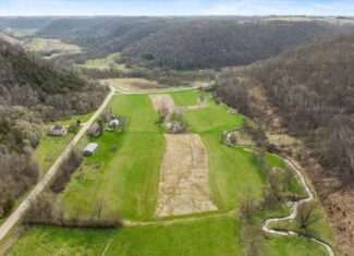 29± Acres of Driftless Beauty | Woods, Water, Pole Shed & Cottage.32
