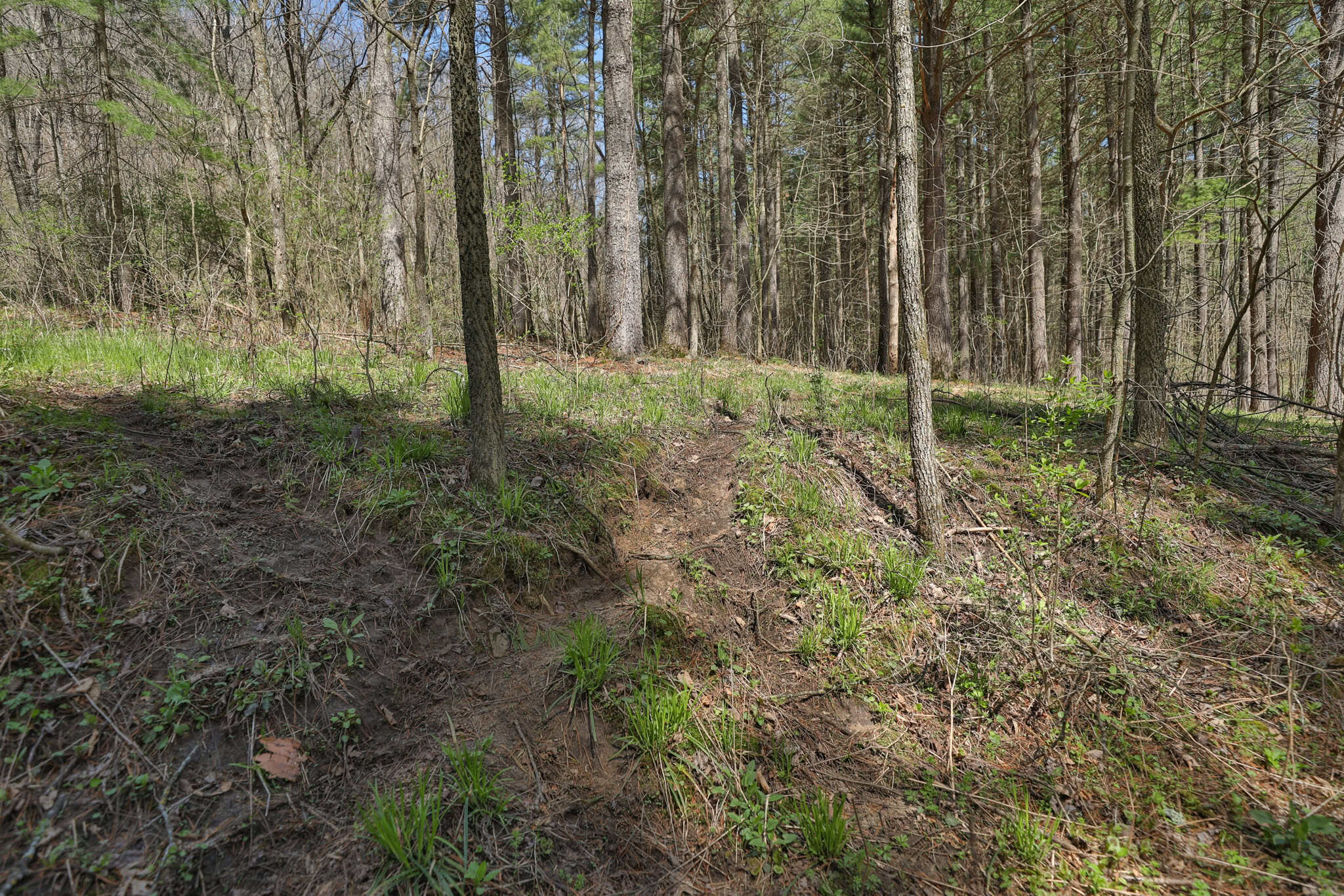 125 Acre Driftless Bluff Sanctuary | Private Valley, Spring-Fed Pond & Trophy Whitetail Haven Near Boaz