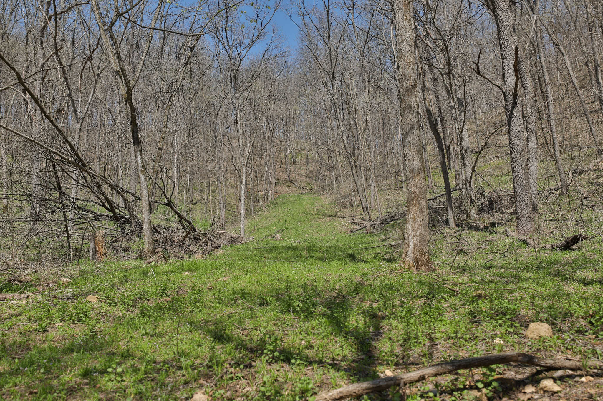 125 Acre Driftless Bluff Sanctuary | Private Valley, Spring-Fed Pond & Trophy Whitetail Haven Near Boaz