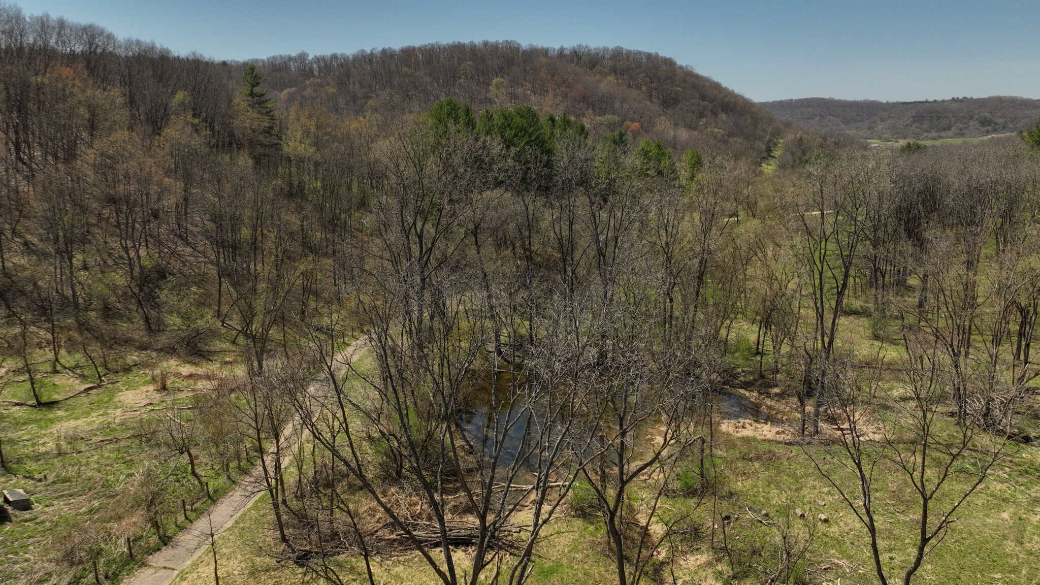 125 Acre Driftless Bluff Sanctuary | Private Valley, Spring-Fed Pond & Trophy Whitetail Haven Near Boaz
