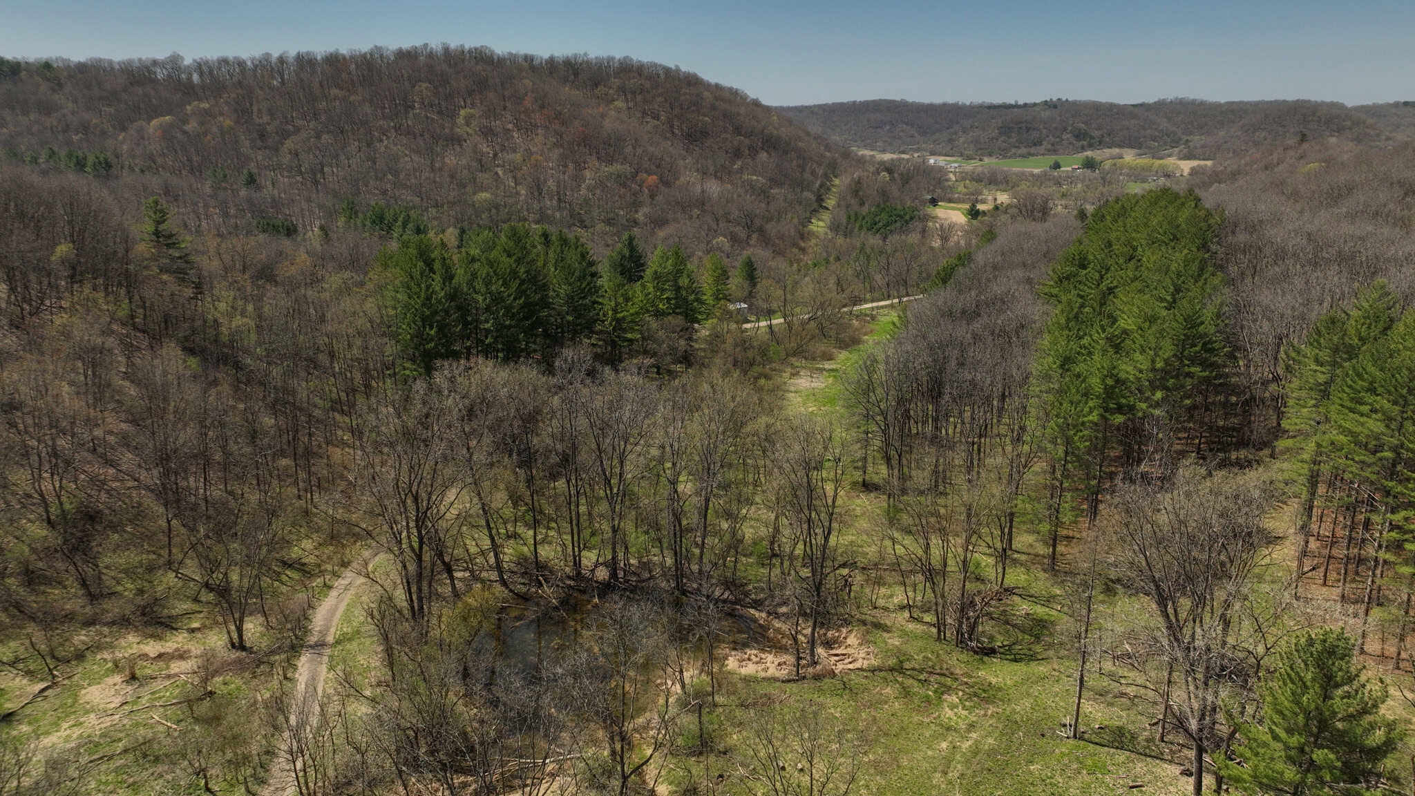 125 Acre Driftless Bluff Sanctuary | Private Valley, Spring-Fed Pond & Trophy Whitetail Haven Near Boaz