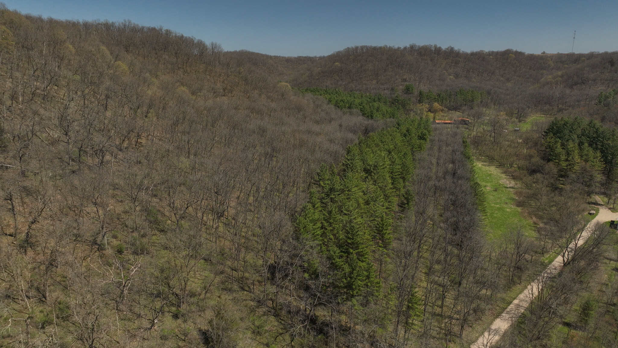 125 Acre Driftless Bluff Sanctuary | Private Valley, Spring-Fed Pond & Trophy Whitetail Haven Near Boaz