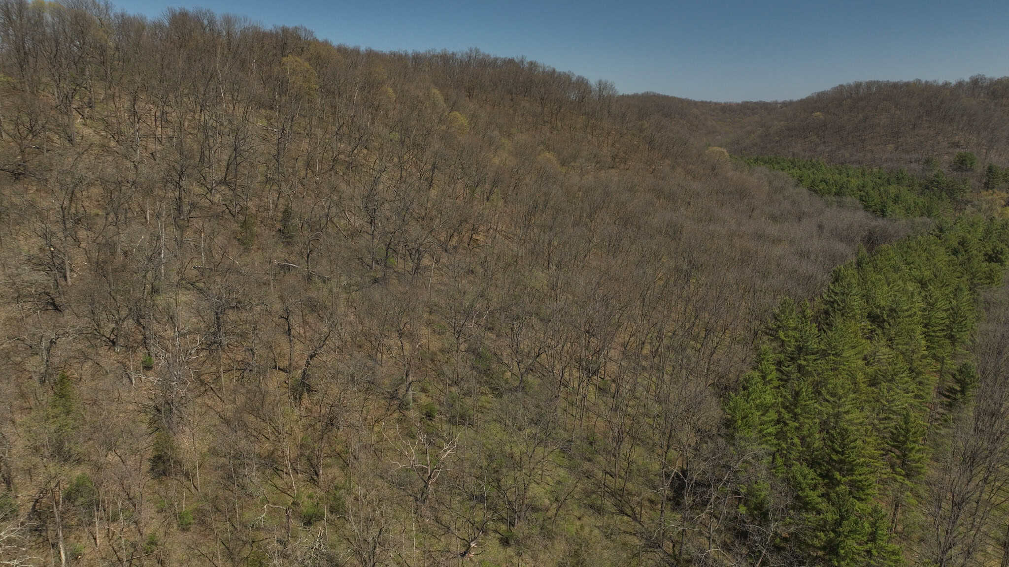 125 Acre Driftless Bluff Sanctuary | Private Valley, Spring-Fed Pond & Trophy Whitetail Haven Near Boaz