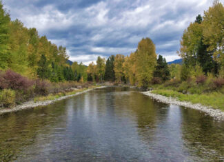 Riverfront Acreage For Sale in St. Regis, Montana