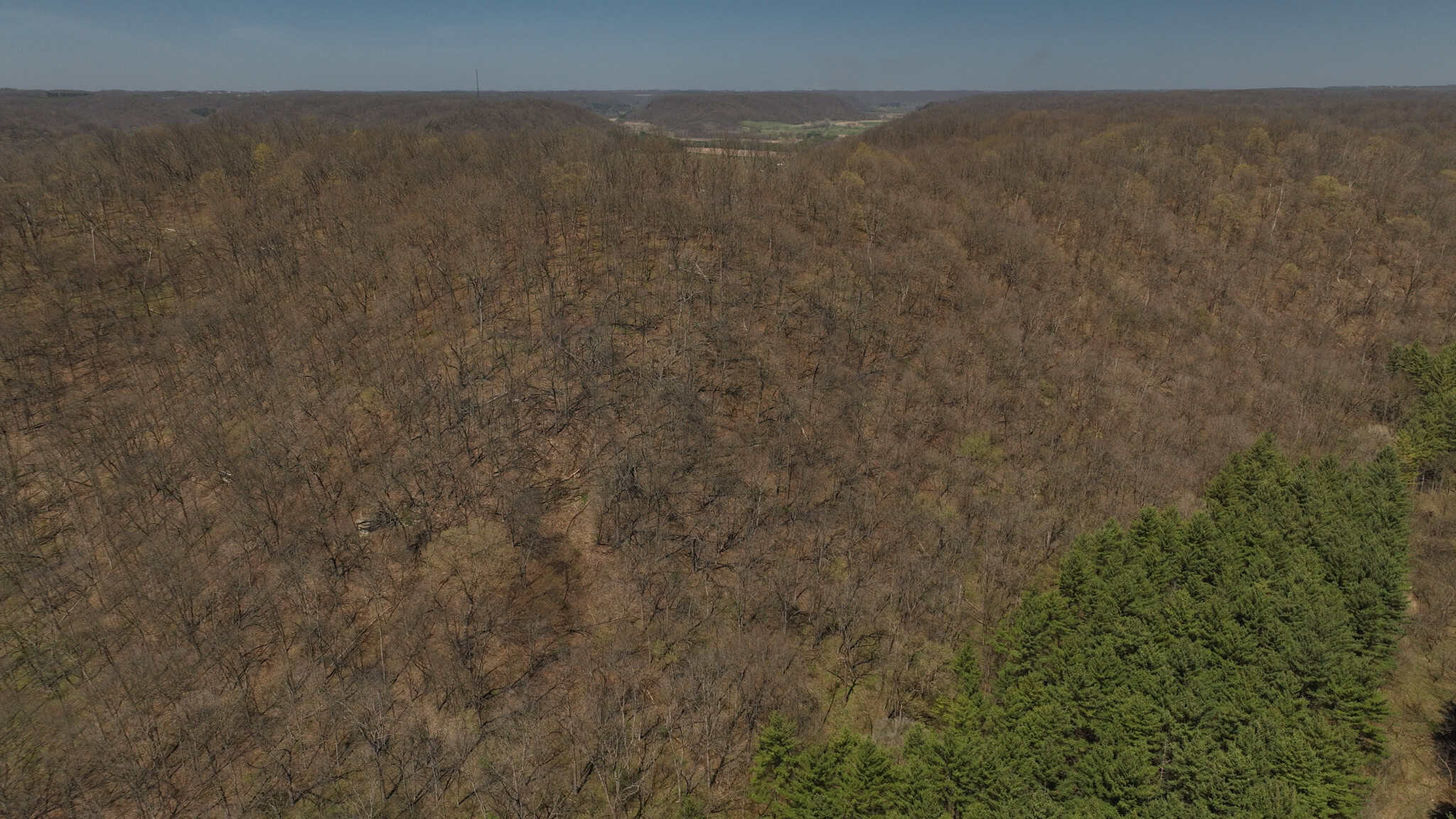 125 Acre Driftless Bluff Sanctuary | Private Valley, Spring-Fed Pond & Trophy Whitetail Haven Near Boaz