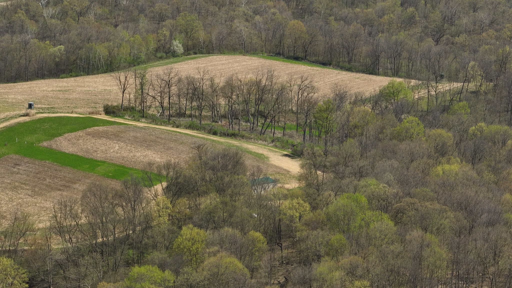 Bleck’s Booner Ridge Farm – 89+/- Acre World-Class Whitetail Sanctuary with Luxury Cabin in Boscobel