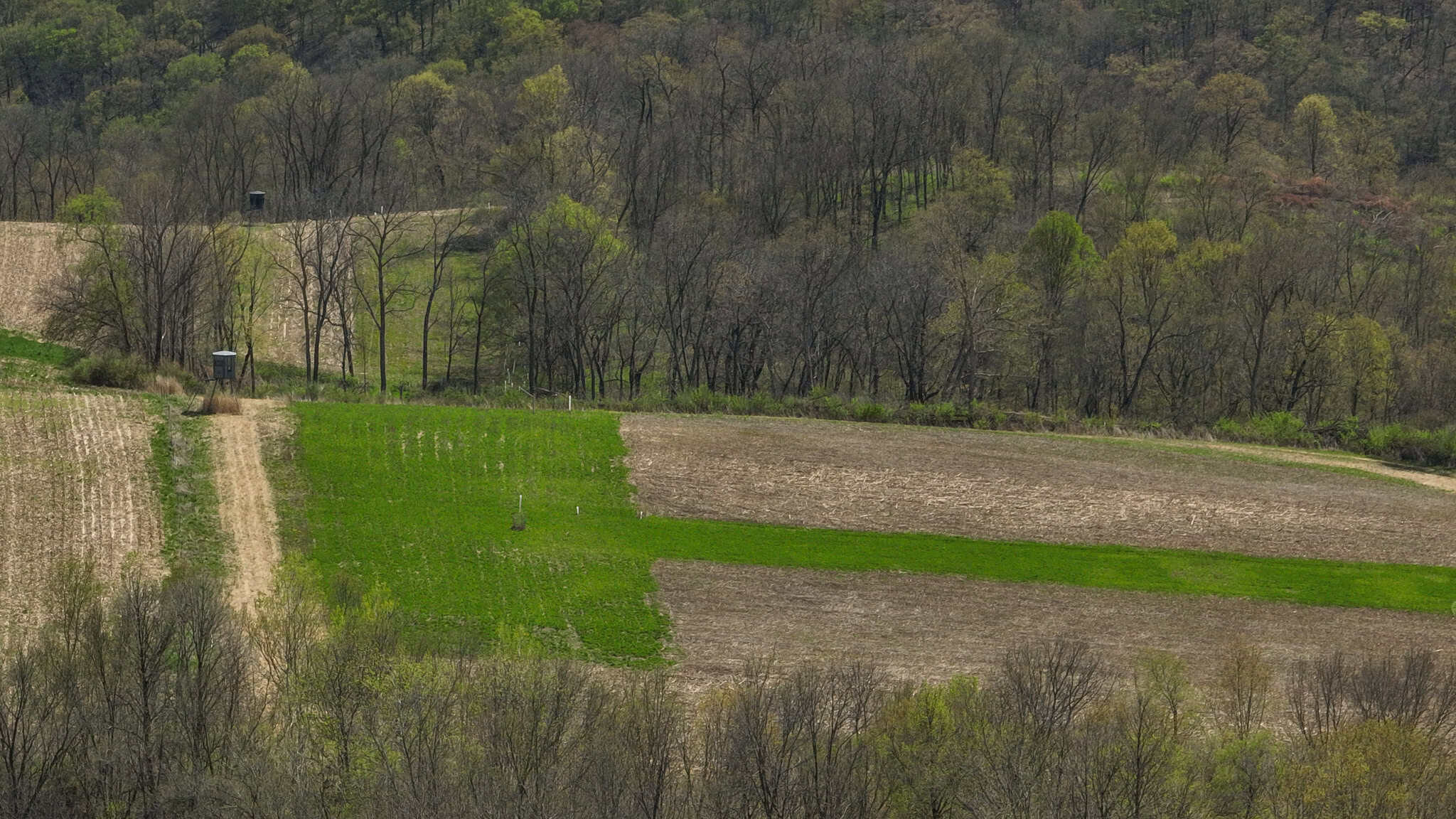 Bleck’s Booner Ridge Farm – 89+/- Acre World-Class Whitetail Sanctuary with Luxury Cabin in Boscobel
