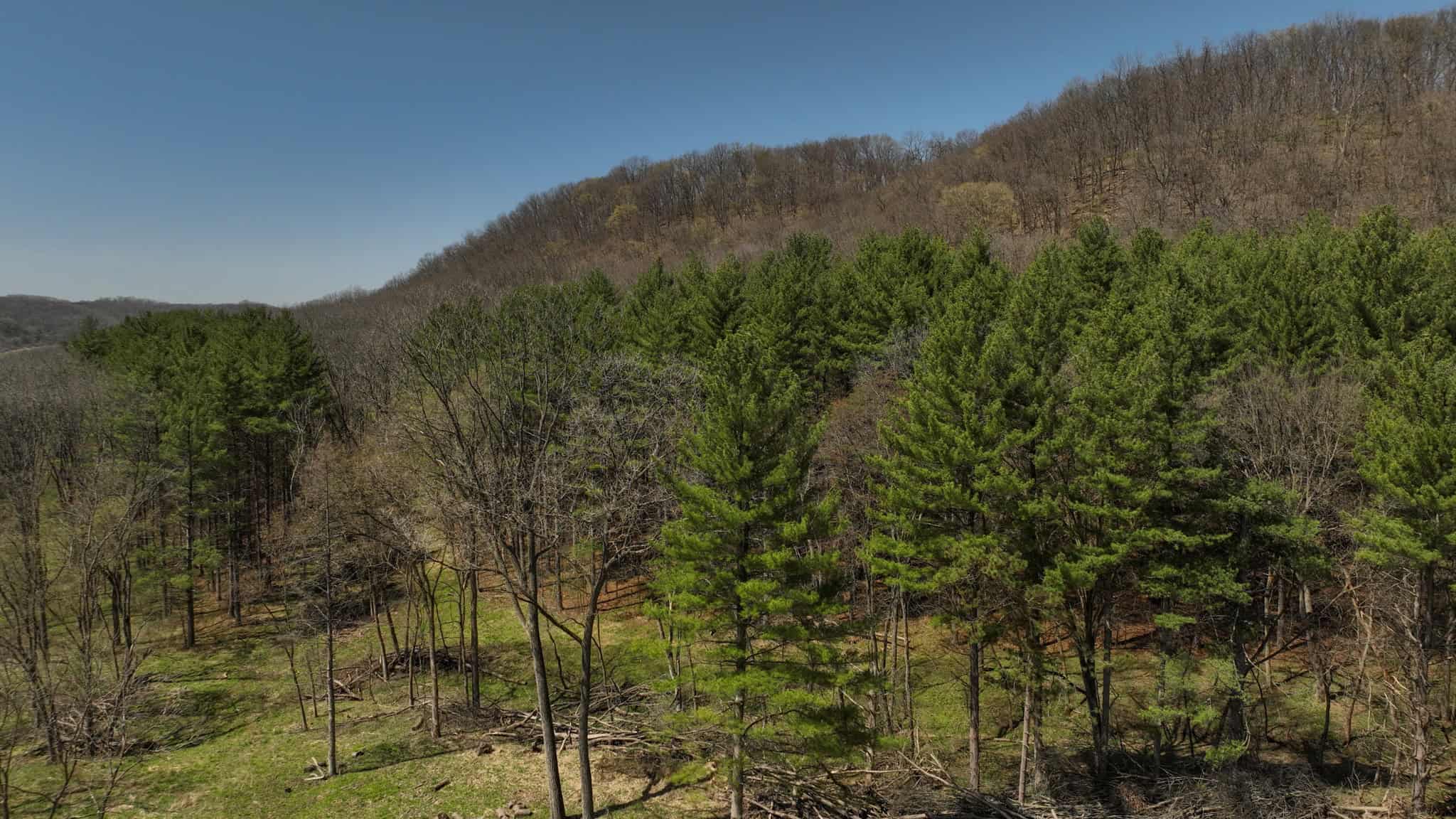 125 Acre Driftless Bluff Sanctuary | Private Valley, Spring-Fed Pond & Trophy Whitetail Haven Near Boaz