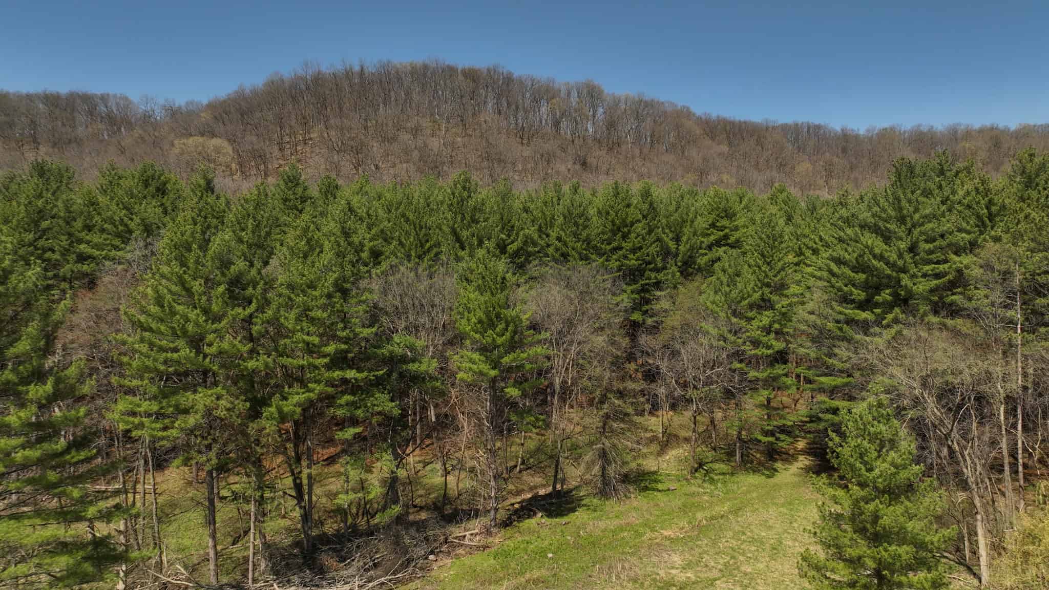 125 Acre Driftless Bluff Sanctuary | Private Valley, Spring-Fed Pond & Trophy Whitetail Haven Near Boaz
