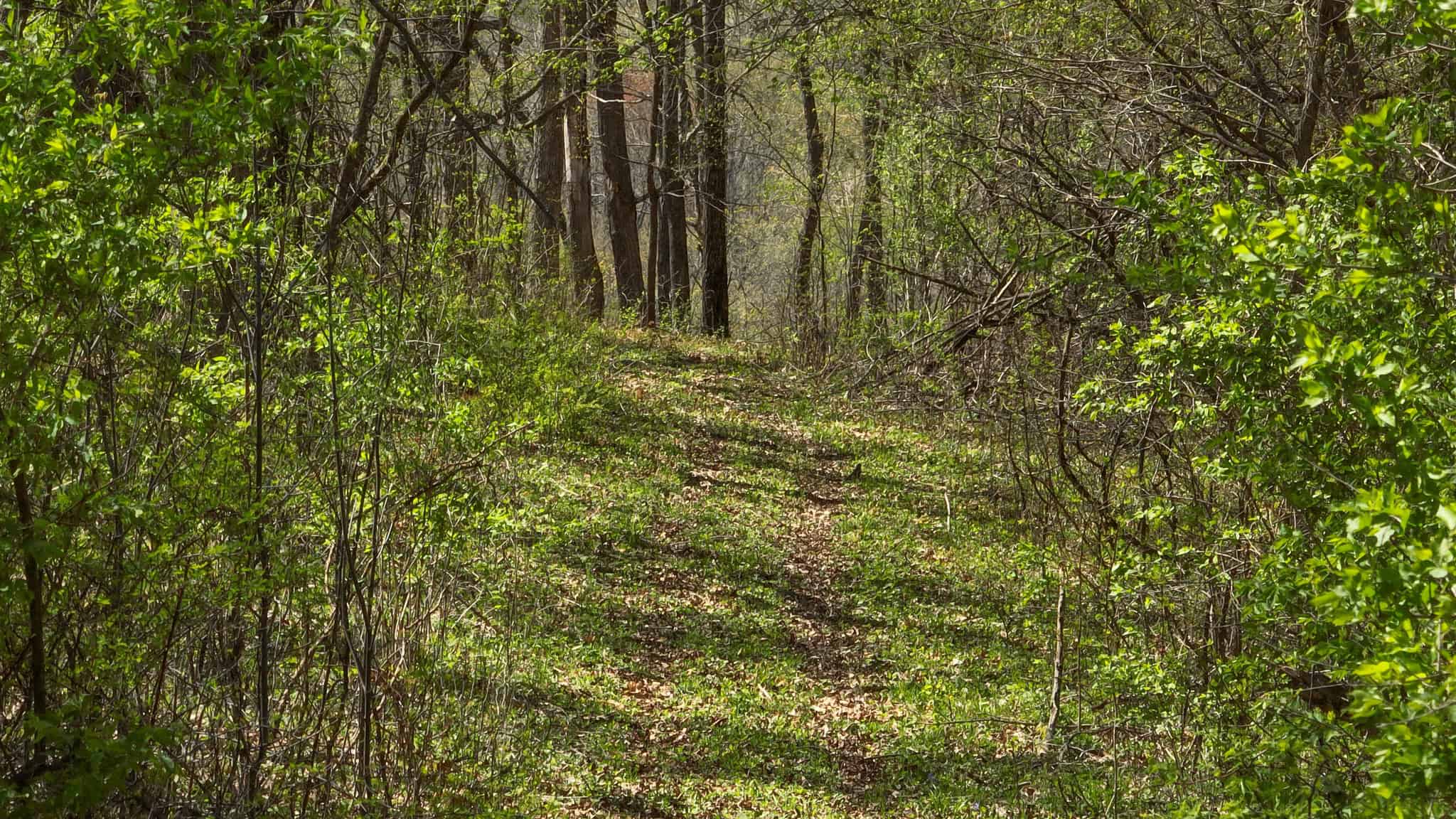 Bleck’s Booner Ridge Farm – 89+/- Acre World-Class Whitetail Sanctuary with Luxury Cabin in Boscobel