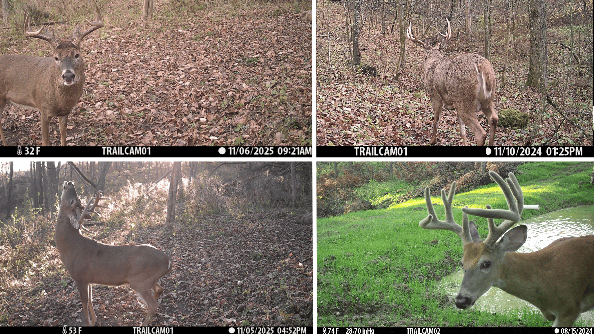 Bleck’s Booner Ridge Farm – 89+/- Acre World-Class Whitetail Sanctuary with Luxury Cabin in Boscobel