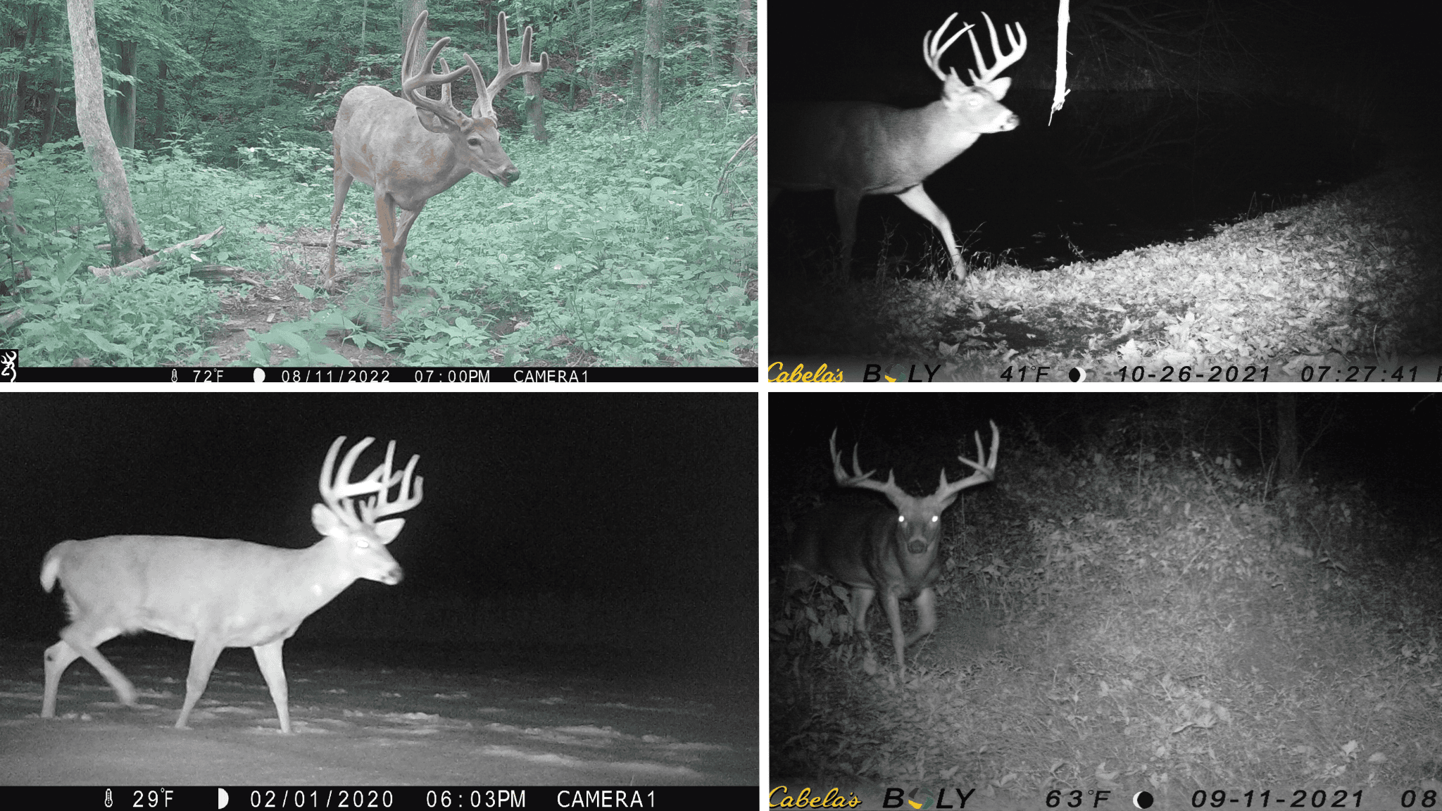 Bleck’s Booner Ridge Farm – 89+/- Acre World-Class Whitetail Sanctuary with Luxury Cabin in Boscobel