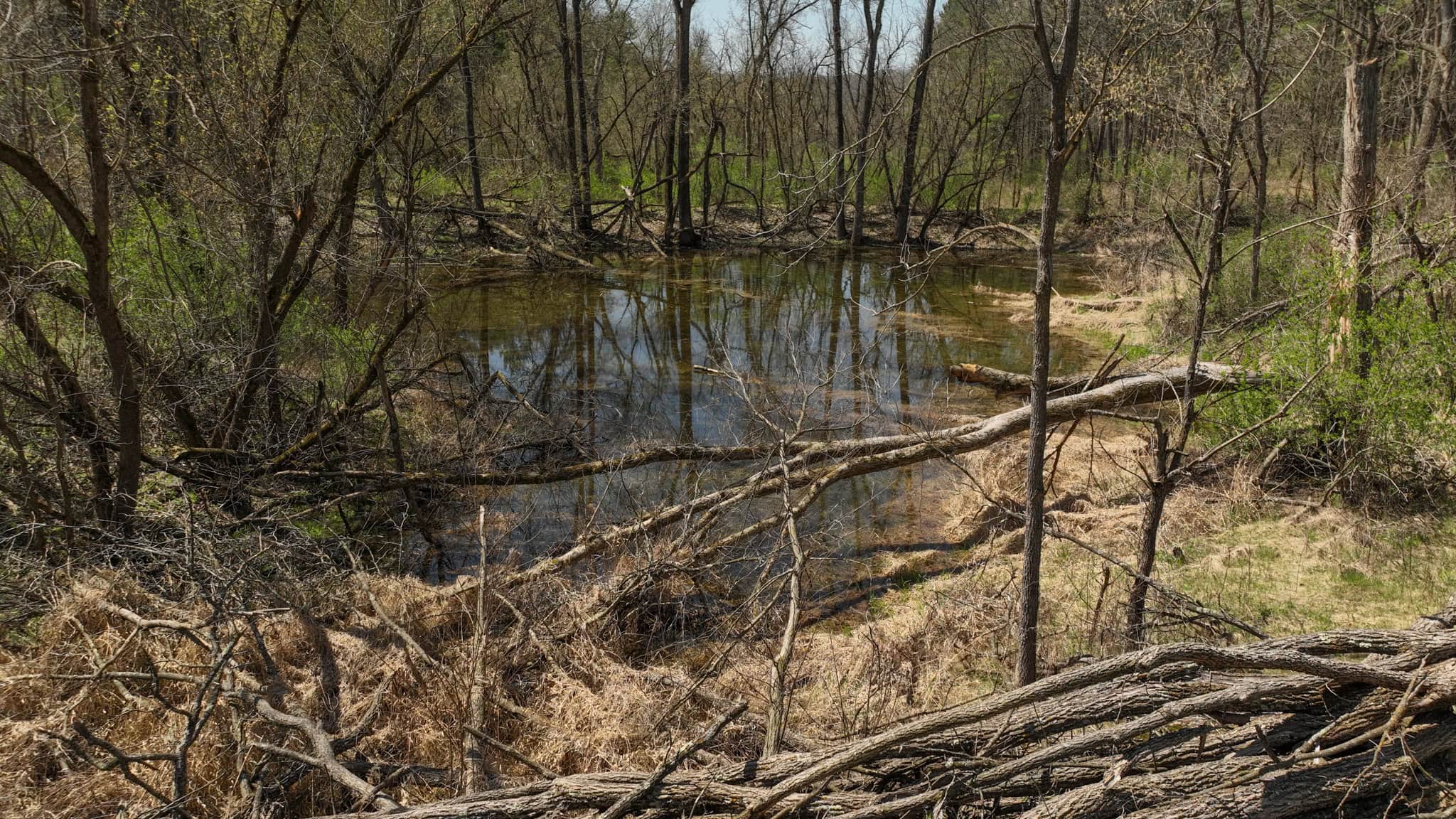 125 Acre Driftless Bluff Sanctuary | Private Valley, Spring-Fed Pond & Trophy Whitetail Haven Near Boaz