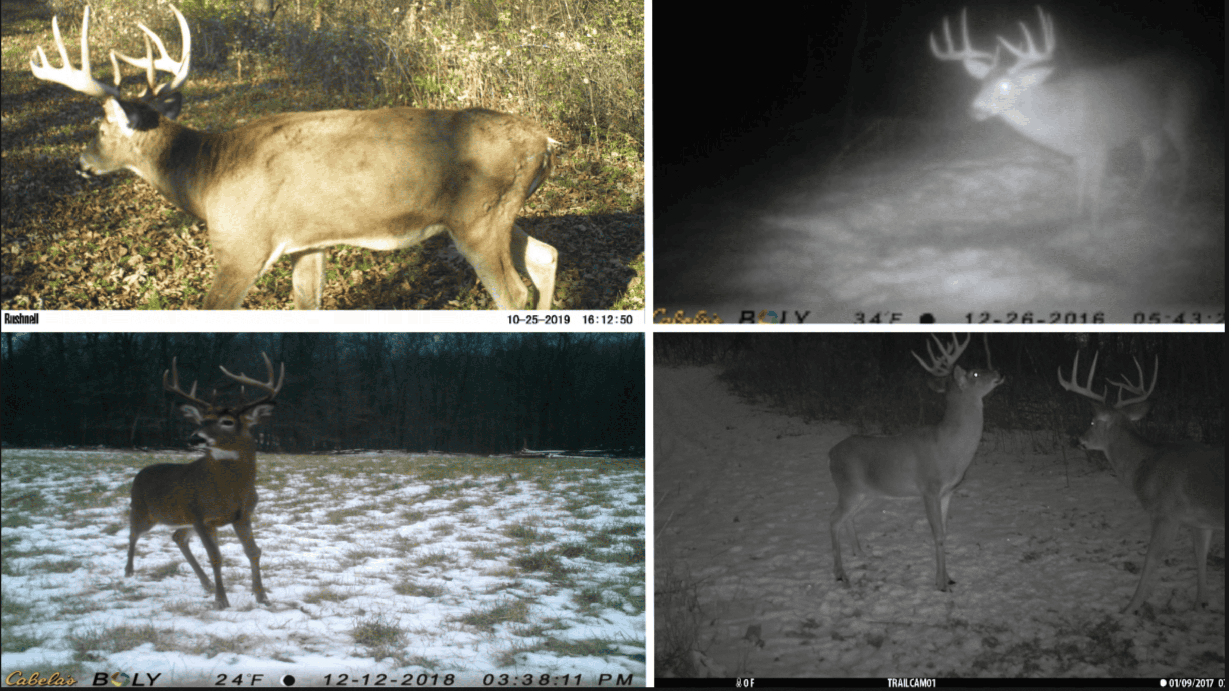 Bleck’s Booner Ridge Farm – 89+/- Acre World-Class Whitetail Sanctuary with Luxury Cabin in Boscobel