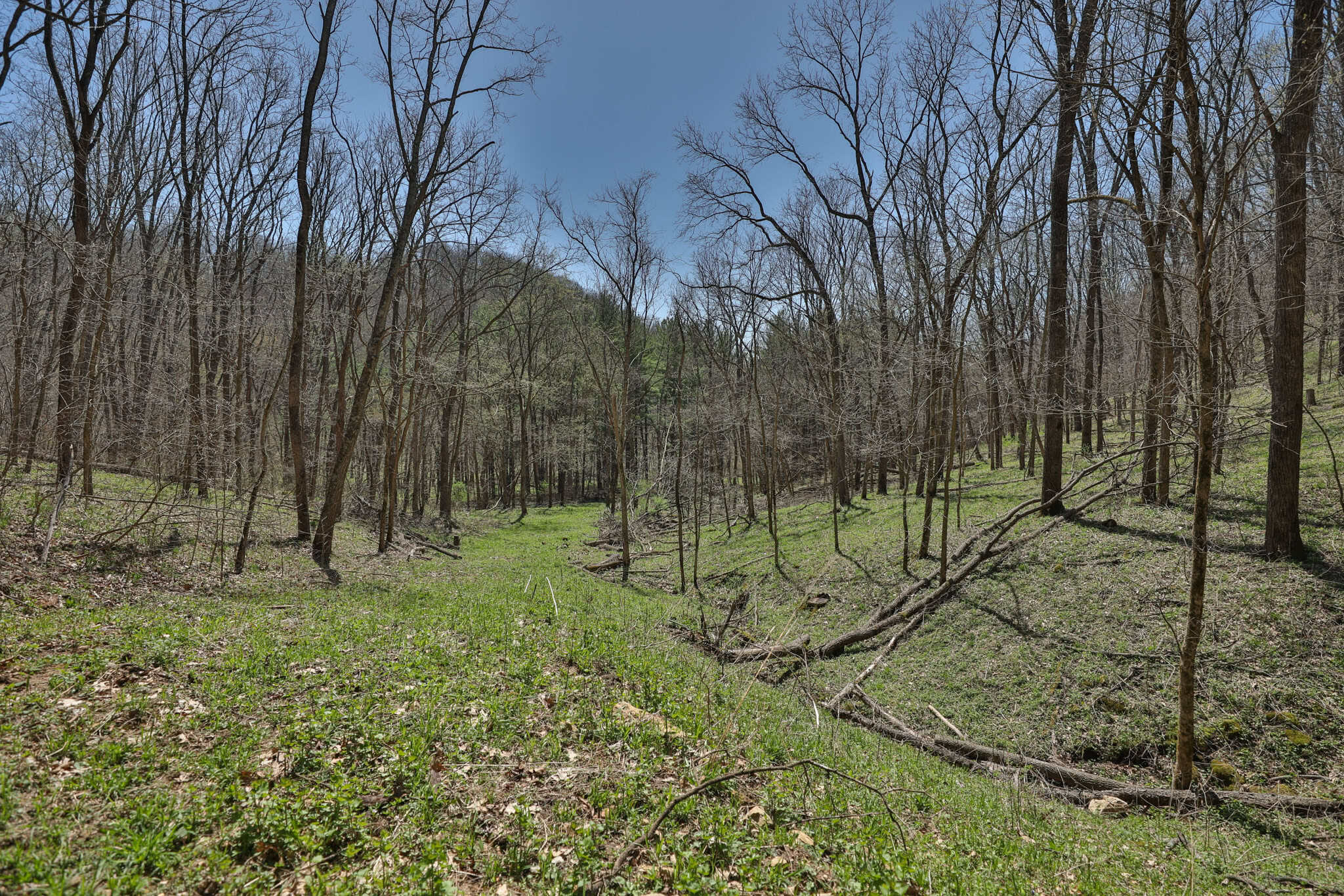 125 Acre Driftless Bluff Sanctuary | Private Valley, Spring-Fed Pond & Trophy Whitetail Haven Near Boaz