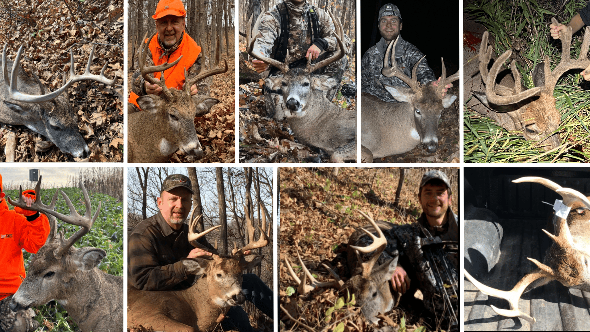Bleck’s Booner Ridge Farm – 89+/- Acre World-Class Whitetail Sanctuary with Luxury Cabin in Boscobel