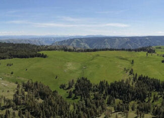 Land for Sale in Idaho County, ID at Hatke Place Ranch