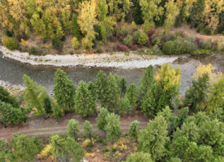 Riverfront Acreage For Sale in St. Regis, Montana