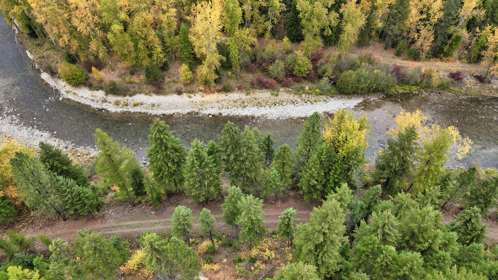 Riverfront Acreage For Sale in St. Regis, Montana