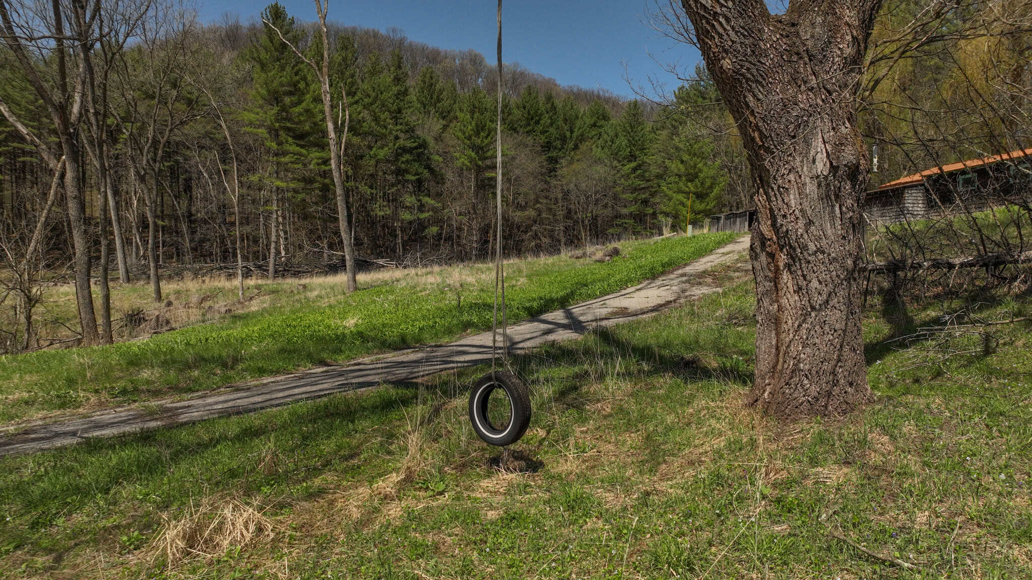 125 Acre Driftless Bluff Sanctuary | Private Valley, Spring-Fed Pond & Trophy Whitetail Haven Near Boaz