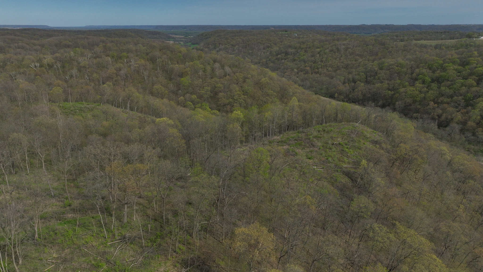 Bleck’s Booner Ridge Farm – 89+/- Acre World-Class Whitetail Sanctuary with Luxury Cabin in Boscobel